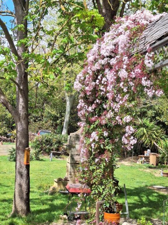 Domaine De Capoulade Bed & Breakfast Narbonne Bagian luar foto